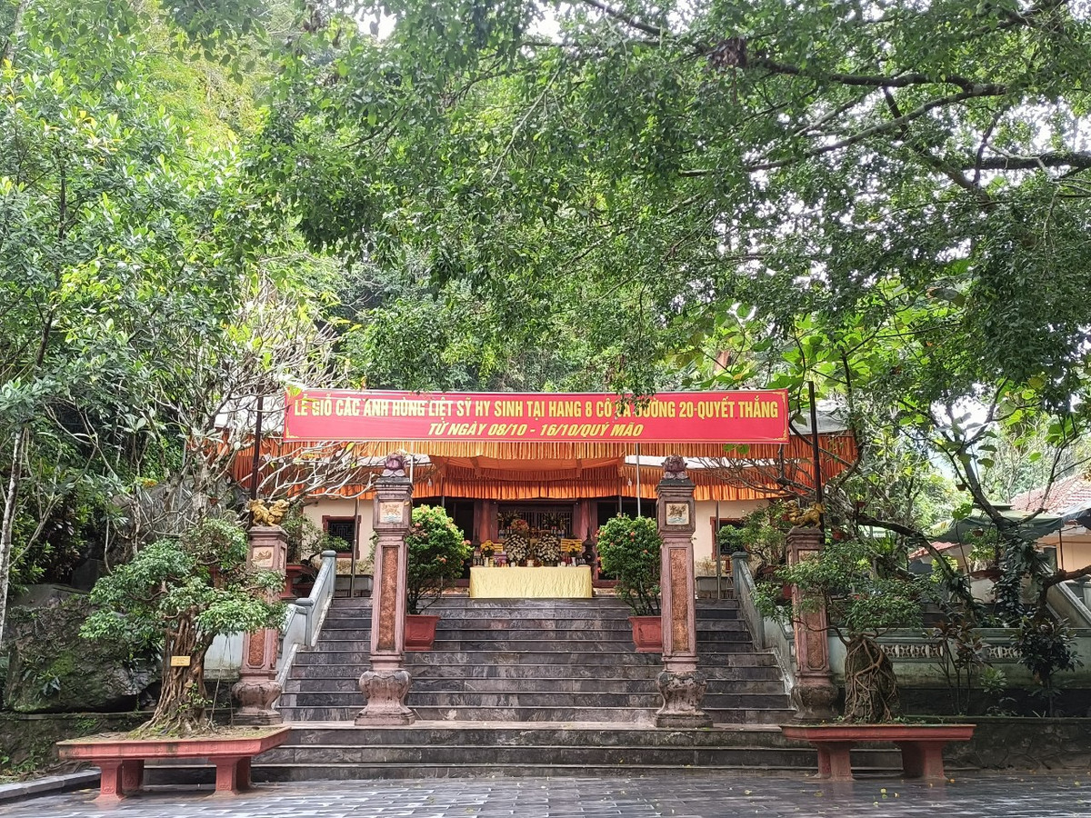 Di tích lịch sử Hang Tám Cô, hay còn gọi là Hang 8 Thanh niên Xung phong (TNXP) tại km 16, đường 20 – Quyết Thắng, nằm xã Tân Trạch, huyện Bố Trạch (Quảng Bình) là một trong những “tọa độ lửa” những năm 1971-1972. Đây là nơi 8 TNXP (4 nam, 4 nữ) quê Hoằng Hóa, Thanh Hóa, đã hy sinh trong cuộc chiến tranh chống Mỹ cứu nước. 