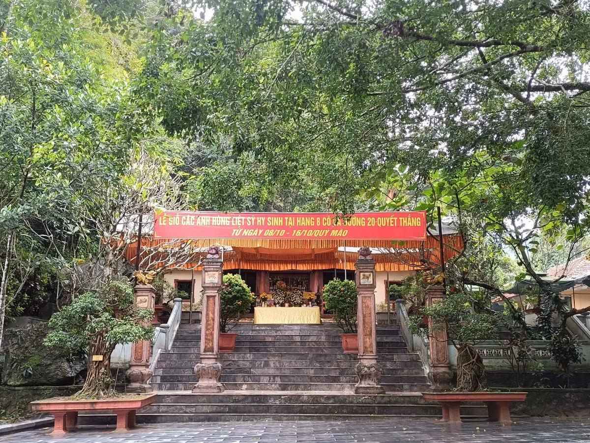 Di tích lịch sử Hang Tám Cô, hay còn gọi là Hang 8 Thanh niên Xung phong (TNXP) tại km 16, đường 20 – Quyết Thắng, nằm xã Tân Trạch, huyện Bố Trạch (Quảng Bình) là một trong những “tọa độ lửa” những năm 1971-1972. Đây là nơi 8 TNXP (4 nam, 4 nữ) quê Hoằng Hóa, Thanh Hóa, đã hy sinh trong cuộc chiến tranh chống Mỹ cứu nước. 