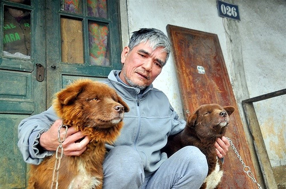 Theo như kết quả nghiên cứu chỉ ra thì tỉ lệ chiều dài toàn thân so với chiều cao của chó Bắc Hà khoảng 1,2 lần. Đây là một tỉ lệ cân đối và hoàn hảo.