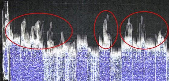 39 nguoi vao Anh nghi co co gai Viet: Tai sao “ship nguoi” bang container dong lanh?