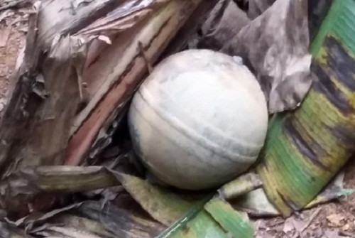 9. Vật thể lạ rơi ở Tuyên Quang, Yên Bái Khoảng từ 6h30 đến 7h sáng 2/1/2016, người dân địa phương thuộc địa phận xã Tân Đồng bất ngờ nghe thấy tiếng nổ lớn kèm theo vệt sáng từ trên trời lao xuống. Người dân trong khu vực liền đi tìm thì phát hiện vật thể lạ rơi ở vườn nhà bà Trần Thị Lợi ở thôn 1, xã Tân Đồng (huyện Trấn Yên – tỉnh Yên Bái). Vật thể lạ có dạng hình cầu, đường kính khoảng 40cm, vỏ ngoài bằng kim loại, nặng khoảng 4-6kg, trên vỏ có nhiều ký tự nước ngoài. Sau khi rơi xuống vườn đã để lại một hố sâu trên mặt đất nhưng rất may không gây hậu quả gì.