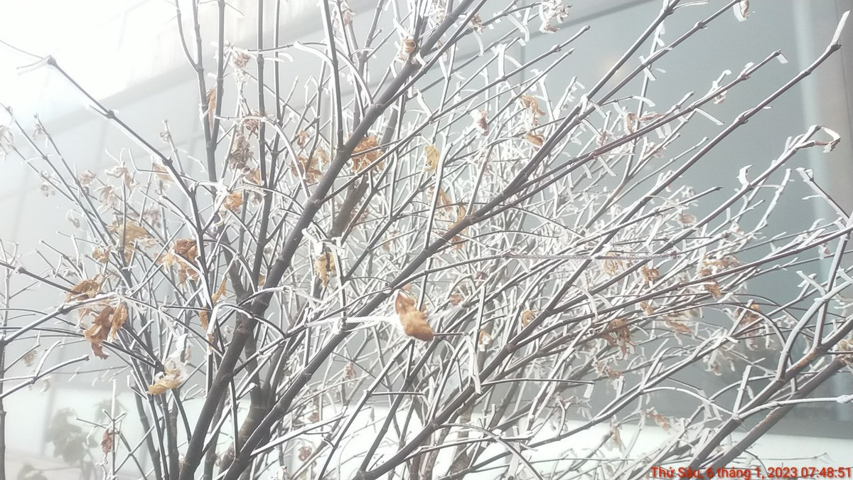 Dự báo thời tiết ngày 16/1: Miền Bắc rét đậm, khả năng xảy ra mưa tuyết Du bao thoi tiet ngay 16/1: Mien Bac ret dam, kha nang xay ra mua tuyet