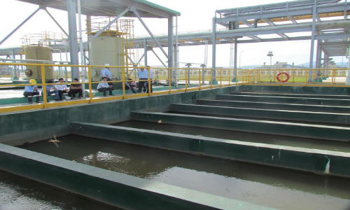 Formosa van chua hoan thien het hang muc bao ve moi truong