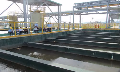 Formosa van chua hoan thien het hang muc bao ve moi truong