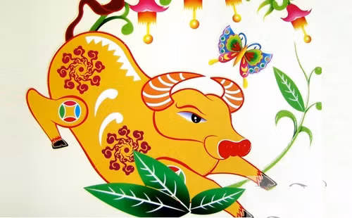 Điều duy nhất mà người tuổi Sửu cần làm là lắng nghe tiếng gọi trái tim mách bảo và làm theo thôi.