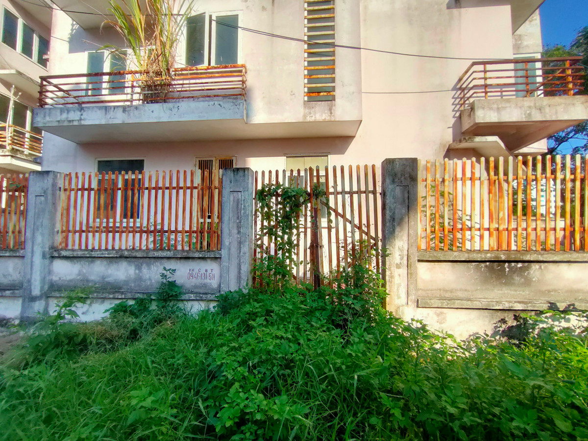 Cỏ mọc um tùm, bít lối đi vào các căn nhà liền kề.