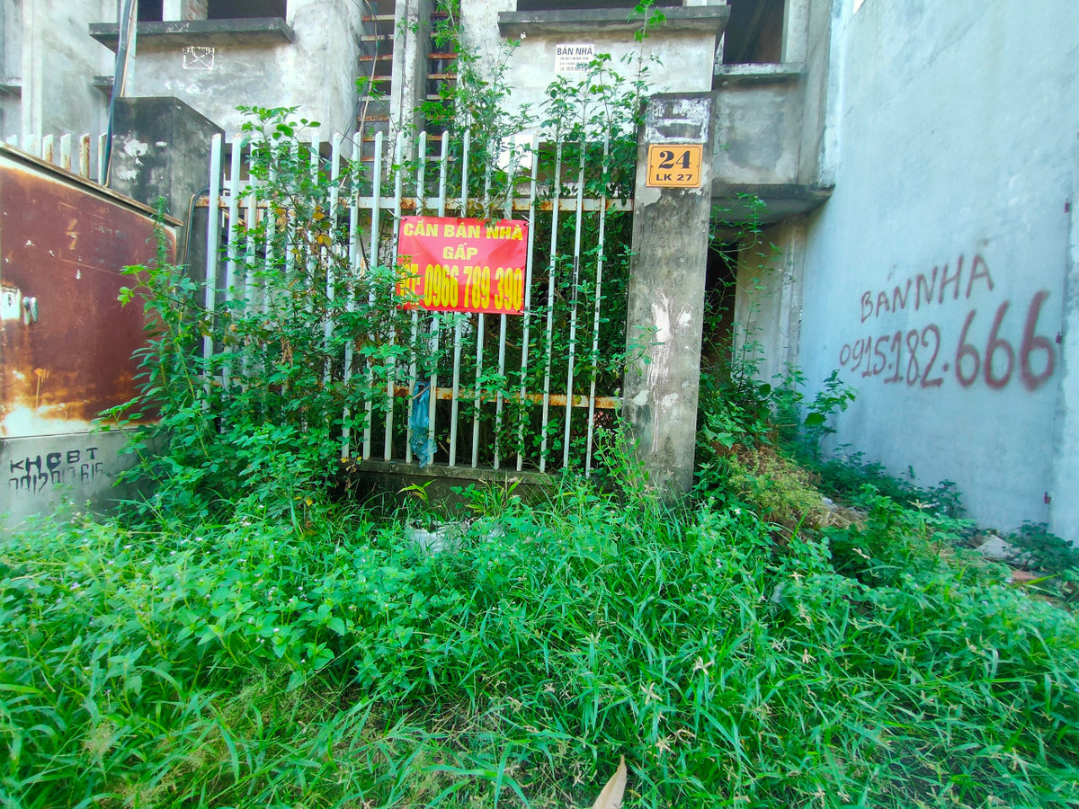 Cây cỏ mọc um tùm xung quanh nhà liền kề bỏ hoang.