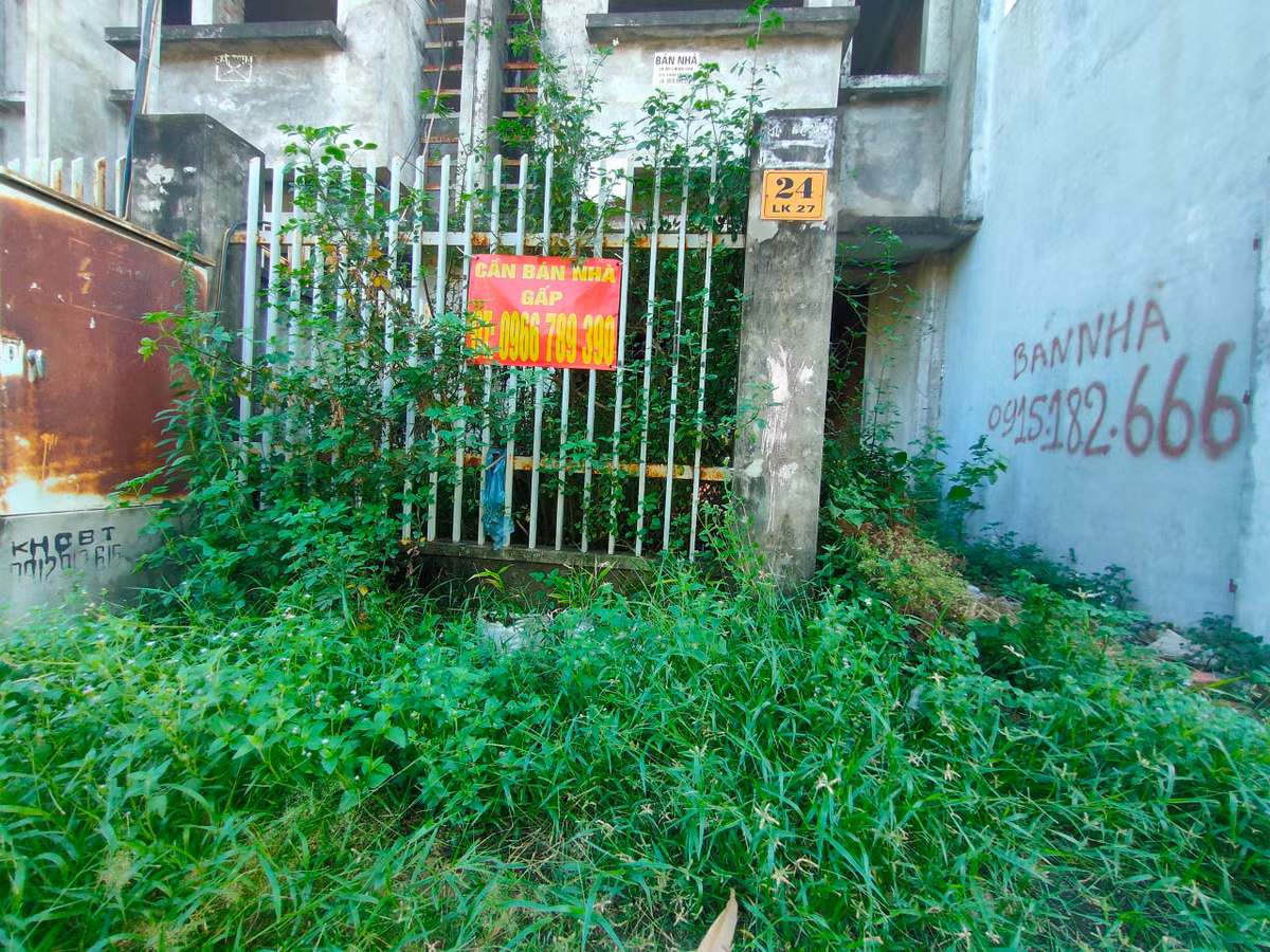 Cây cỏ mọc um tùm xung quanh nhà liền kề bỏ hoang.