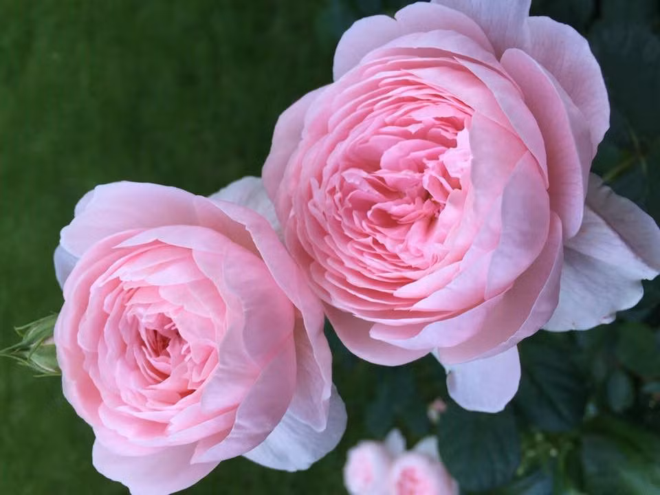 Khi trưởng thành, họ không ngừng tìm kiếm cơ hội cho bản thân. Nhờ nỗ lực hết mình, cộng thêm chút may mắn, họ đạt được thành công từ rất sớm. Sau khi kết hôn, sự nghiệp của người sinh ngày 13 Âm lịch không ngừng đi lên. Họ được bạn đời hỗ trợ, ủng hộ. Hai vợ chồng họ sát cánh bên nhau gây dựng sự nghiệp thành công, hôn nhân hạnh phúc.