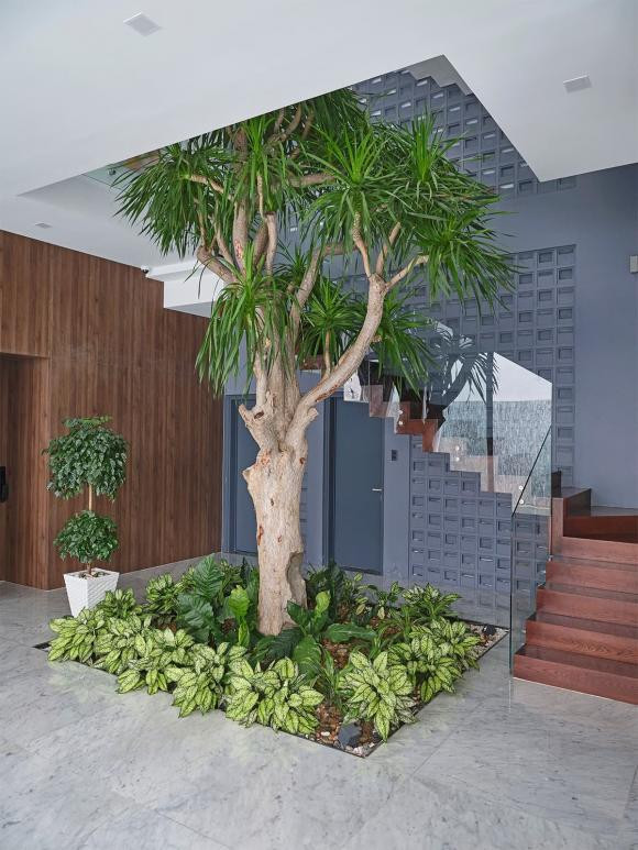 Nha mai doc phu day co va cay xanh tuoi mat-Hinh-11