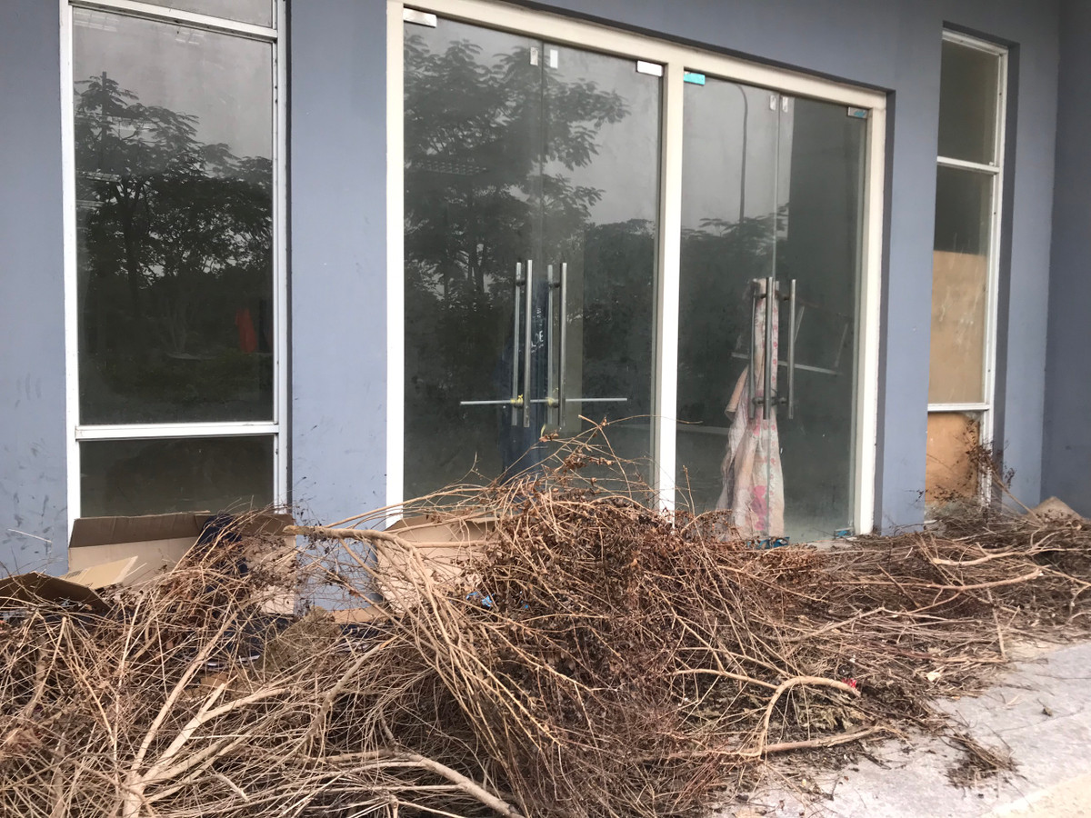 Cây, cỏ khô dễ bốc cháy được chất đống ngay tại cửa tòa nhà tái định cư cực kỳ nguy hiểm.