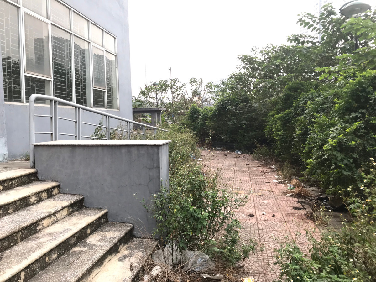 Không có người dọn dẹp, chăm sóc cỏ mọc um tùm, rác rưởi mất vệ sinh quanh các tòa nhà.