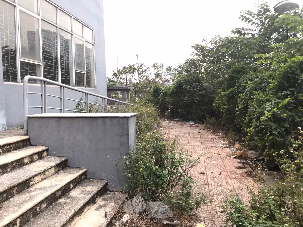 Không có người dọn dẹp, chăm sóc cỏ mọc um tùm, rác rưởi mất vệ sinh quanh các tòa nhà.