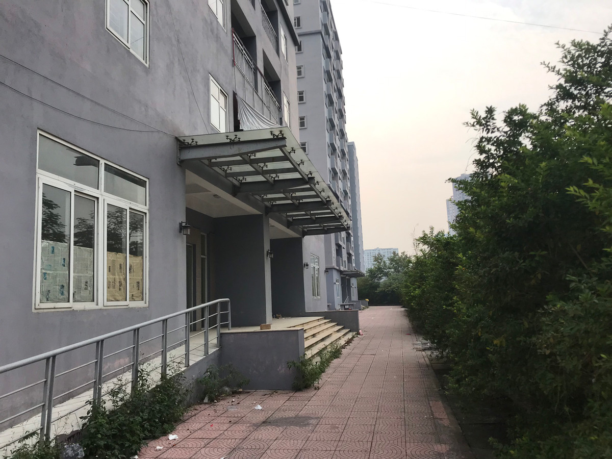 Xung quanh các tòa nhà tái định cư cây cối um tùm không được cắt tỉa làm khu vực này càng thêm hoang lạnh.