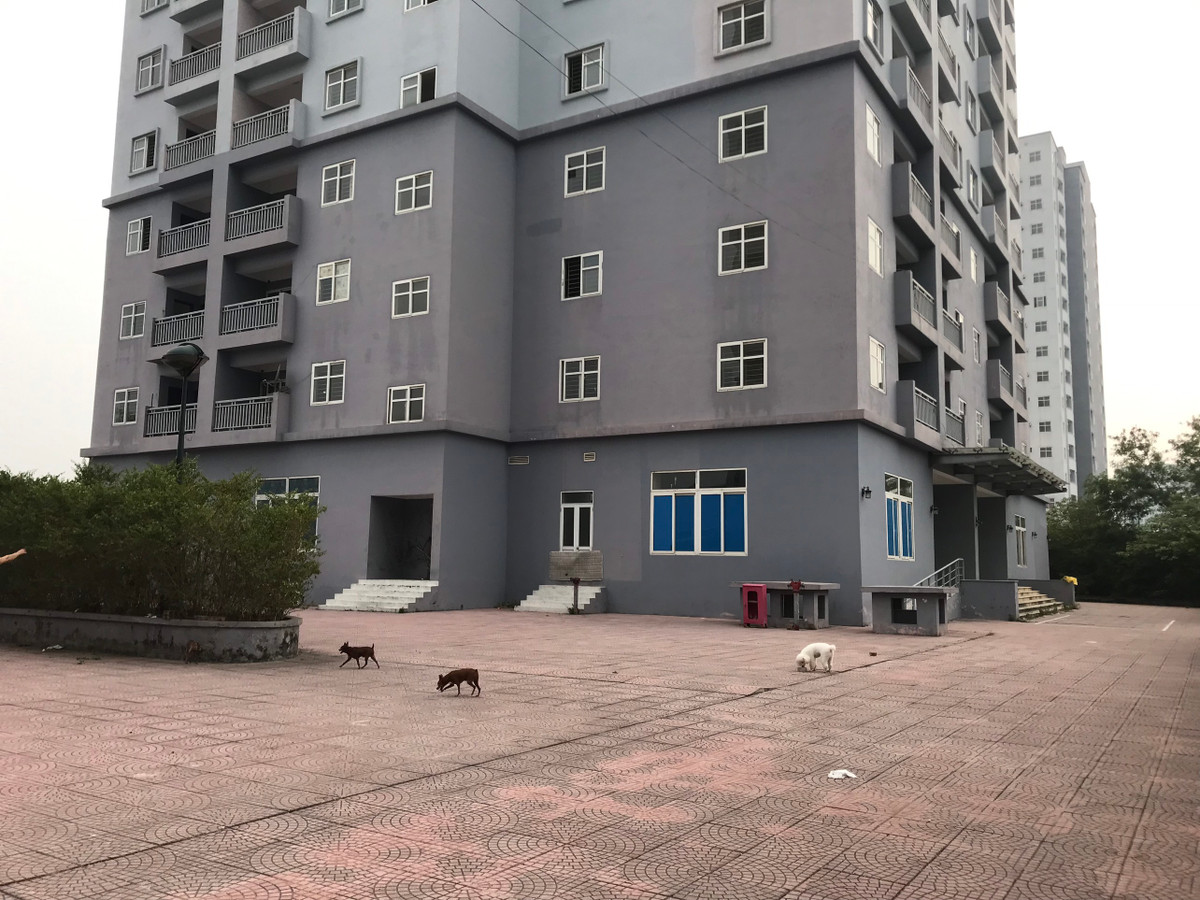 Các tòa tái định cư có diện tích sân chung khá rộng, hạ tầng khá đồng bộ lại nằm ngay mặt đường Tân Mai đắc địa nhưng vẫn chưa có người đến ở.