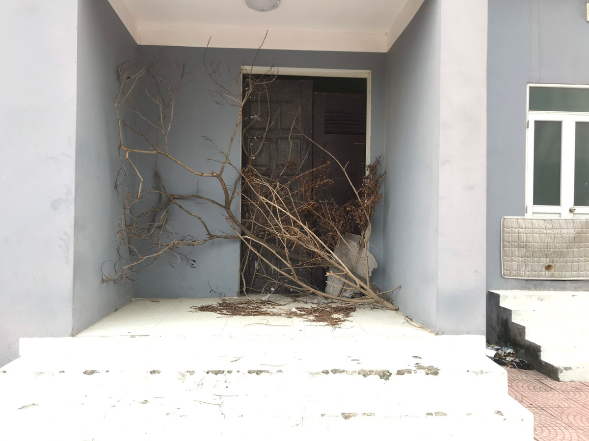 Một cánh cửa được chặn lối vào bằng những cành cây khô.