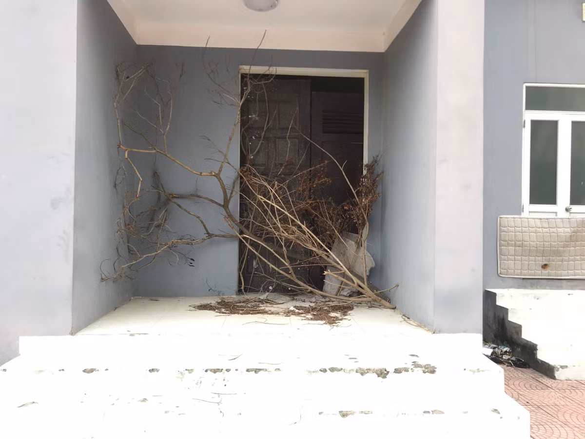 Một cánh cửa được chặn lối vào bằng những cành cây khô.