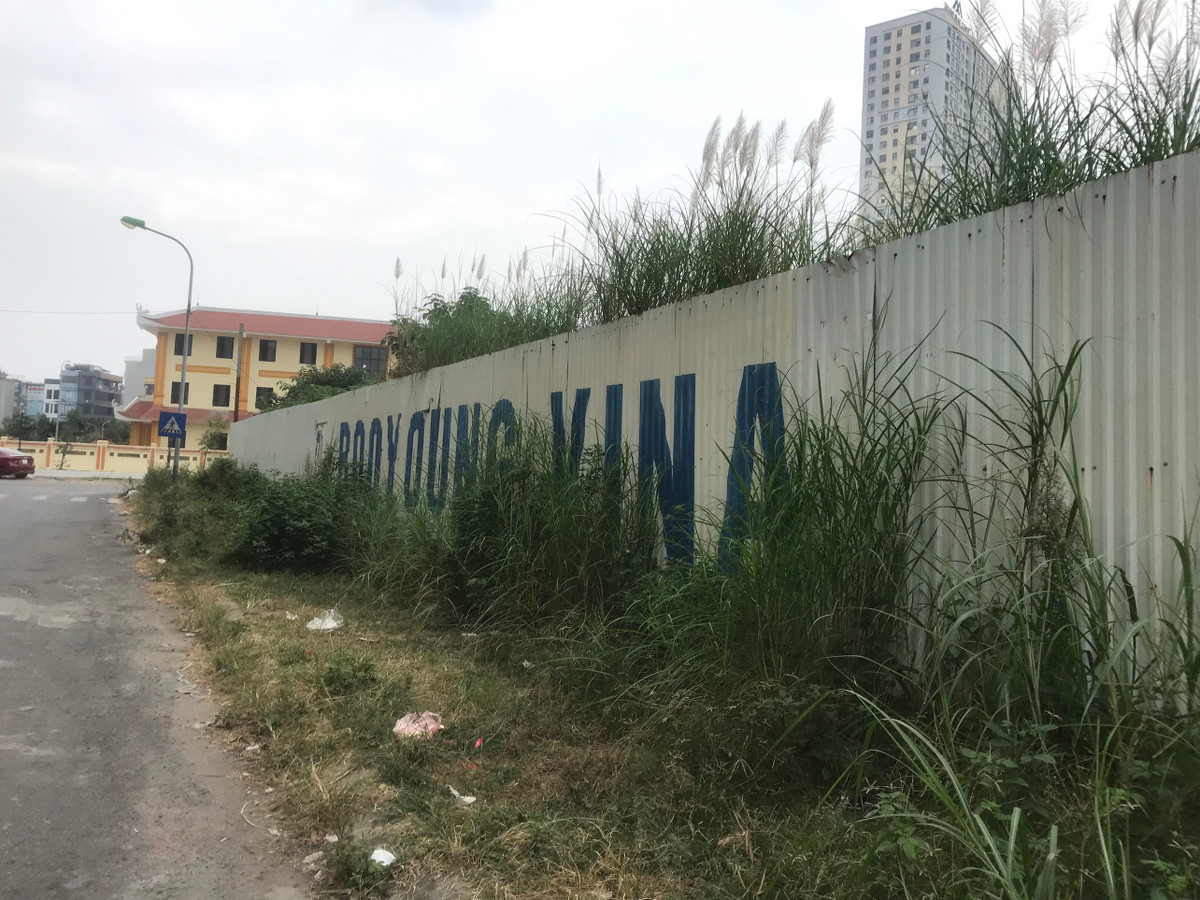 Cỏ mọc um tùm xung quanh dự án.