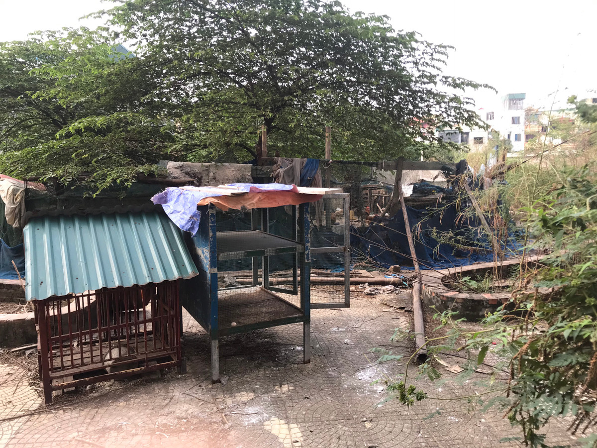 Một số khu vực, vốn được quy hoạch làm khuôn viên, vườn hoa, tiểu cảnh hiện bị biến tướng, nhếch nhác, mất vệ sinh.