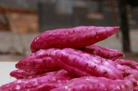 3 loai thuc pham giau tinh kiem la thien dich cua ung thu-Hinh-2