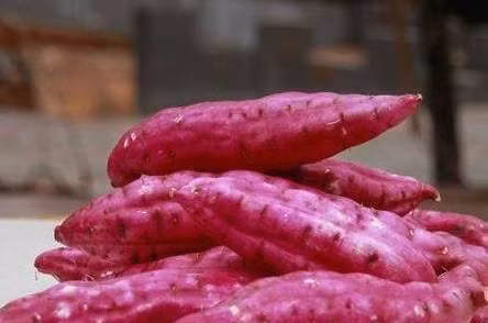 3 loai thuc pham giau tinh kiem la thien dich cua ung thu-Hinh-2