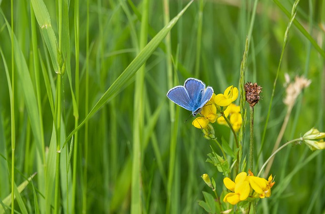 Trong thang 10/2022, 4 con giap su nghiep vu vu, ngan kho tang nhanh-Hinh-3