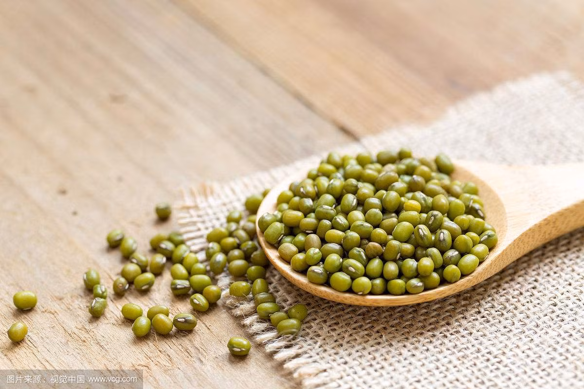 Đậu xanh: Trong họ nhà đậu, đậu xanh là thực phẩm mang tính giải độc, thanh nhiệt rõ nhất. Ăn đậu xanh có tác dụng giải nóng, lợi tiểu, hạ huyết áo. Ảnh: vcg.