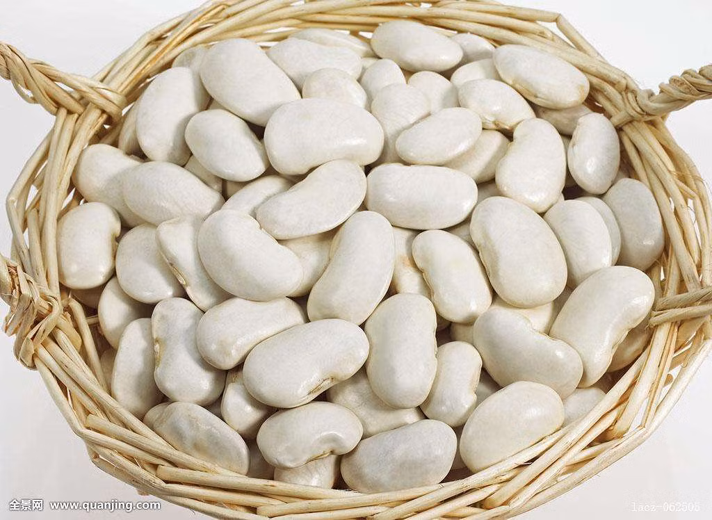 Đậu trắng còn chứa hàm lượng dinh dưỡng hiếm như kali, magiê cao, trong khi natri rất thấp, thích hợp cho người mắc bệnh tim mạch, xơ cứng động mạch, cholesterol máu cao, huyết áp và nhưng người có bệnh lý cần hạn chế nạp muối. Ảnh: quanjing.