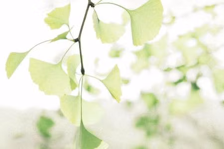 Tuổi Hợi yêu sự ổn định, bình an, tuổi Thân thích theo đuổi sự sôi động khó có thể bằng lòng ngồi yên một chỗ.