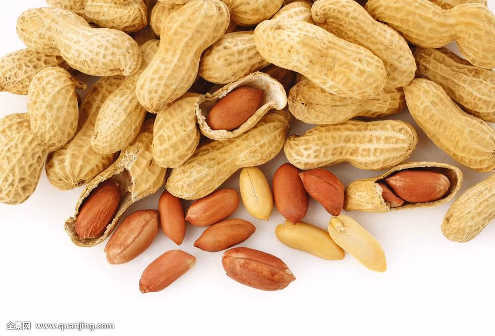 Công dụng: Món canh này bổ huyết, dưỡng khí, bổ tỳ, hòa vị, kiện não, ích khí, nhuận phổi, sinh tân, mùa Đông ăn có thể tăng cường hệ miễn dịch giữ ấm cho cơ thể. Ảnh: quanjing.