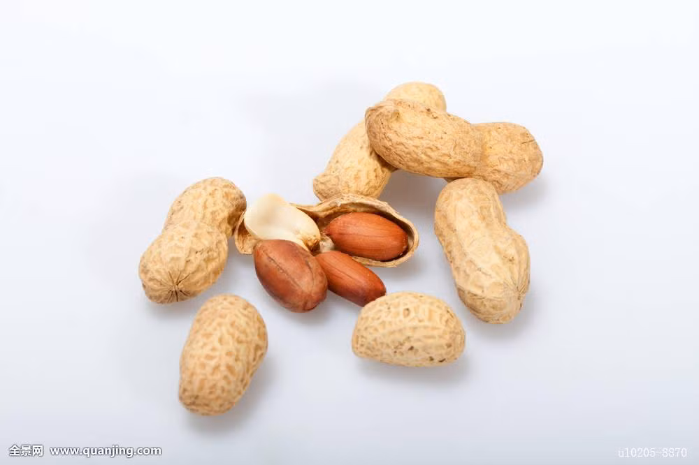 Canh móng giò nấu lạc: Nguyên liệu: Móng giò 1-2 cái tùy theo khẩu phần ăn, 150g lạc nhân, muối, mì chính. Móng giò làm sạch, chặt miếng vừa ăn, trần qua nước sôi cho khỏi hôi, sau đó cho móng giò và lạc nhân vào hầm cùng cho mềm, nêm nếm gia vị ăn nóng. Ảnh: quanjing.