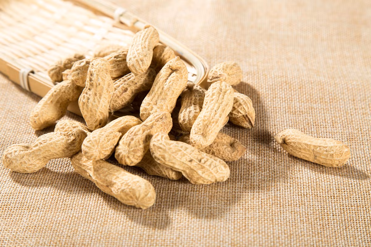 Người chức năng dạ dày kém hoặc có bệnh mạn tính về dạ dày cũng không nên ăn nhiều lạc vì đây là thực phẩm chứa hàm lượng dầu cao, dễ gây đầy hơi, chướng bụng. Ảnh: huitu.