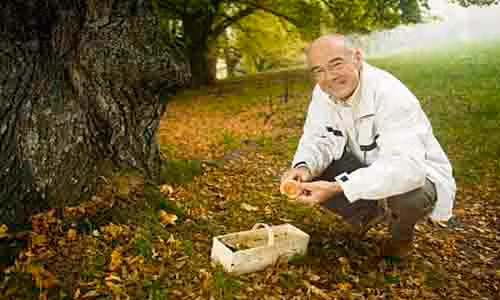 Ảnh minh họa. Ảnh minh họa.