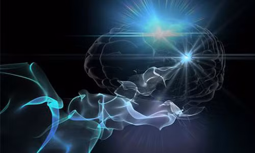 4 cau than chu giup duy tri su minh man cho nao bo