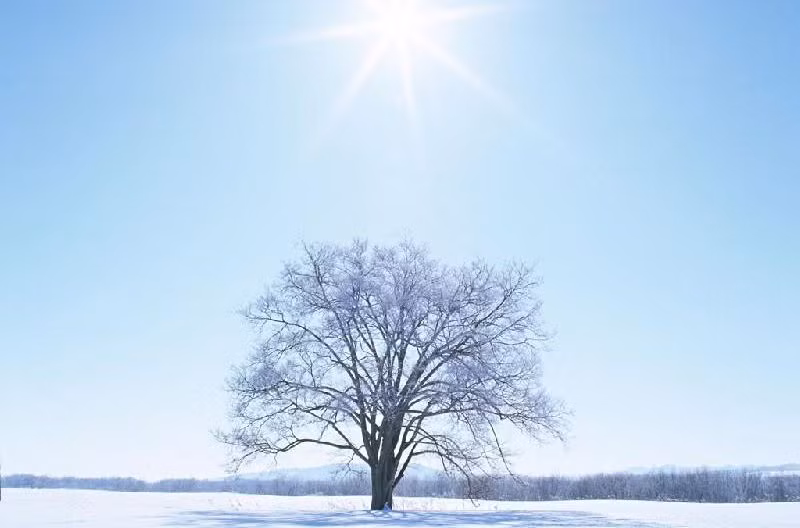 Vận động là cách đơn giản để thúc đẩy tuần hoàn máu, có thể chạy bộ, tập yoga . Tuy nhiên cần phải chú ý việc vận động phải phù hợp với cơ thể, không nên tập quá nặng sẽ gây tổn thương khớp, nếu đang bị đau khớp không nên leo cầu thang nhiều. Ảnh: baidu.