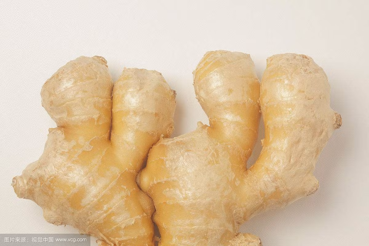 Gừng tươi dùng để kích thích ăn uống, chống lão hóa. Đối với nam giới trung niên, một số người dạ dày hàn, ăn không ngon miệng sẽ dẫn đến cơ thể hư yếu, lúc này có thể dùng gừng tươi chế nước uống giúp làm ấm dạ dày, kích thích tiêu hóa. Ảnh: vcg.