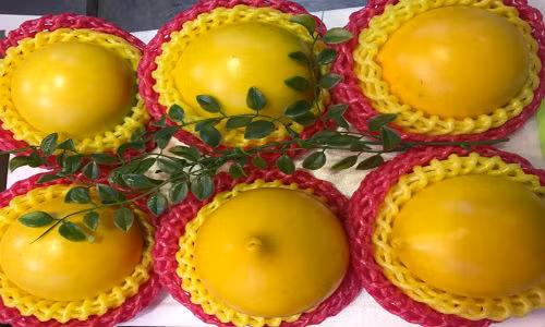 Vu sua vang 350.000 dong mot qua, ba noi tro van mua