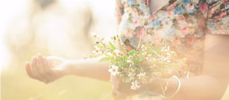 Top con giap troi sinh ban menh de dinh den dui, thi phi-Hinh-5