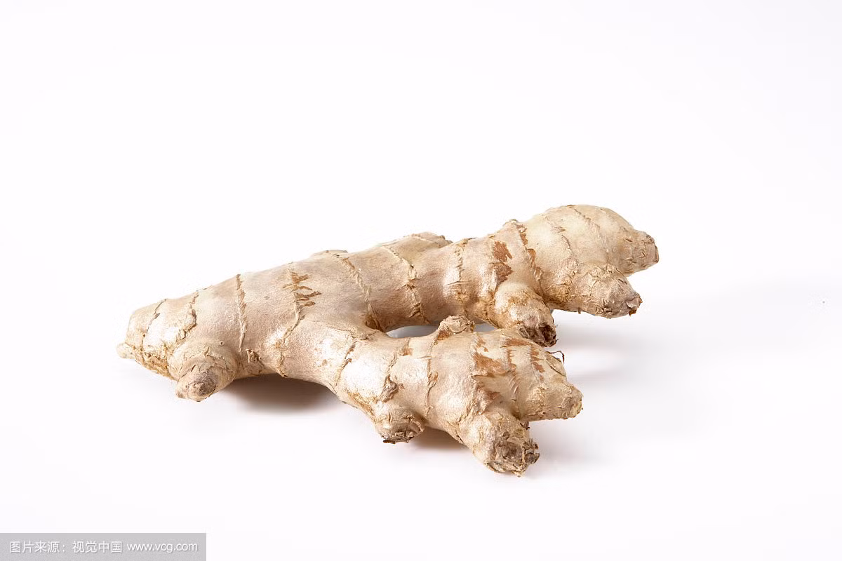 Nếu người già huyết áp không ổn định, có thể dùng nước gừng nóng ngâm chân hàng ngày. Nếu gặp lạnh bị đau đầu cũng có thể ngâm chân với nước gừng nóng, tuy nhiên cần lưu ý nước ngâm chân chỉ nên gập đến mắt cá chân. Ảnh: sanwen8.