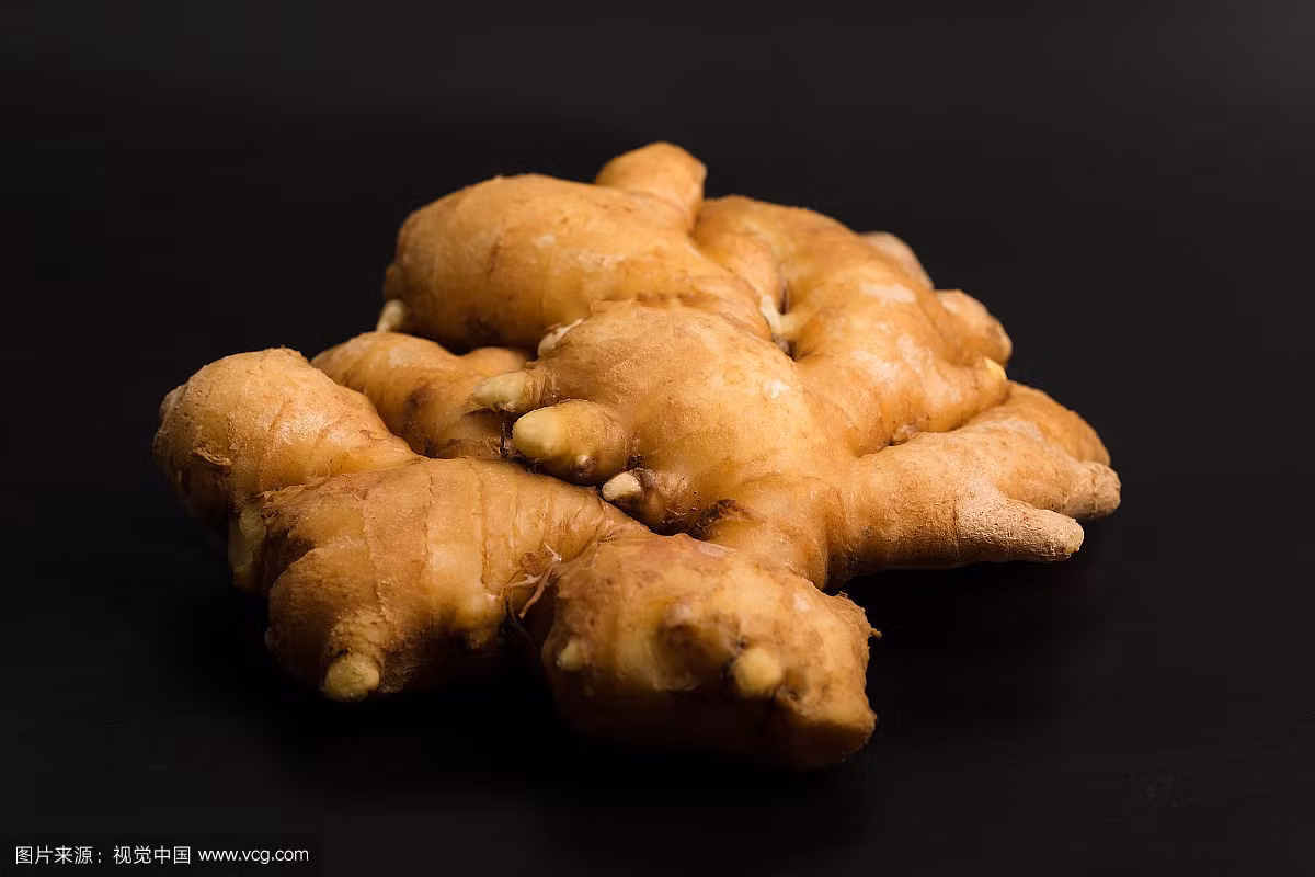 Ai bị chứng đau nửa đầu dùng gừng tươi hãm nước rồi ngâm tay khoảng 15 phút cơn đau đầu sẽ dịu. Mùa hè nếu bị say nắng có thể dùng 1 lát gừng tươi nghiền lấy nước cốt cho bệnh nhân uống sẽ tỉnh lại và giải được say nắng. Ảnh: vcg