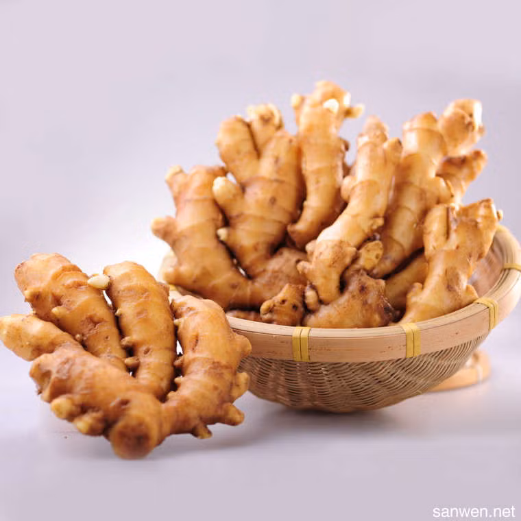 Ngoài ra, sáng thức dậy mệt mỏi tinh thần uể oải, người nặng có thể dùng gừng tươi đặt dưới gối sẽ giúp bạn nhanh chóng tỉnh táo, lấy lại tinh thần sảng khoái cho môt ngày mới. Ảnh:sanwen.