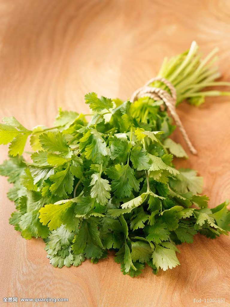 Trẻ con bị mẩn ngứa có thể dùng rau mùi, rễ rau mùi rửa sạch đun lấy nước tắm sẽ giúp giảm mẩm ngứa, trị phát ban. Tuy nhiên cần thận trọng với những bé bị dị ứng với rau này. Ảnh: quanjing.