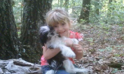 Nhung cau hoi xung quanh vu an mang bi an nhat nuoc My-Hinh-2