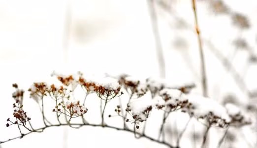  Đau nhức khớp thường gặp ở người già, tuy nhiên vẫn có nhiều người ở độ tuổi thanh niên gặp phải chứng đau này mỗi khi mùa Đông đến. Điều này thường là do cơ thể gặp lạnh, khí lạnh xâm nhập cơ thể và xâm nhập vào khớp gây ra hiện tượng thấp khớp. Vậy làm thế nào để loại bỏ được khí lạnh trong khớp khi mùa Đông đến? Ảnh: huitu