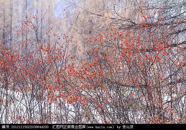 Canh thịt dê nấu đương quy, gừng tươi: Nguyên liệu: Đương quy 3 lượng, gừng tươi 5 lát, thịt dê vừa ăn. Cách làm: Các nguyên liệu làm sạch cho vào nồi ninh mềm, nêm nếm gia vị vừa miệng, ăn nóng. Công dụng: Ấm trung, bổ hư, trừ hàn, giảm đau hiệu quả. Ảnh: huitu.