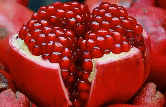 Quả lựu chứa vitamin như A, vitamin C và đặc biệt vitamin E -loại vitamin rất tốt cho da, có tác dụng chống lại quá trình lão hóa da hiệu quả, bảo vệ và phục hồi gan, thận, tăng cường hệ miễn dịch. Ảnh: bendibao.