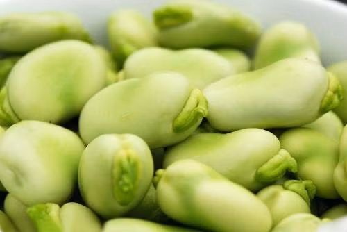 Cách chế biến món đậu tằm ngũ vị: Đậu tằm rửa sạch ngâm qua đêm, vo sạch. Cho đậu tằm đã sơ chế cùng chút hoa hồi, quế, hoa tiêu, tỏi, gừng và đường trắng vào nồi đun lửa nhỏ khoảng 40 -60 phút cho đến khi đậu mềm là được. Ảnh: xn--jvrq04c2fi.