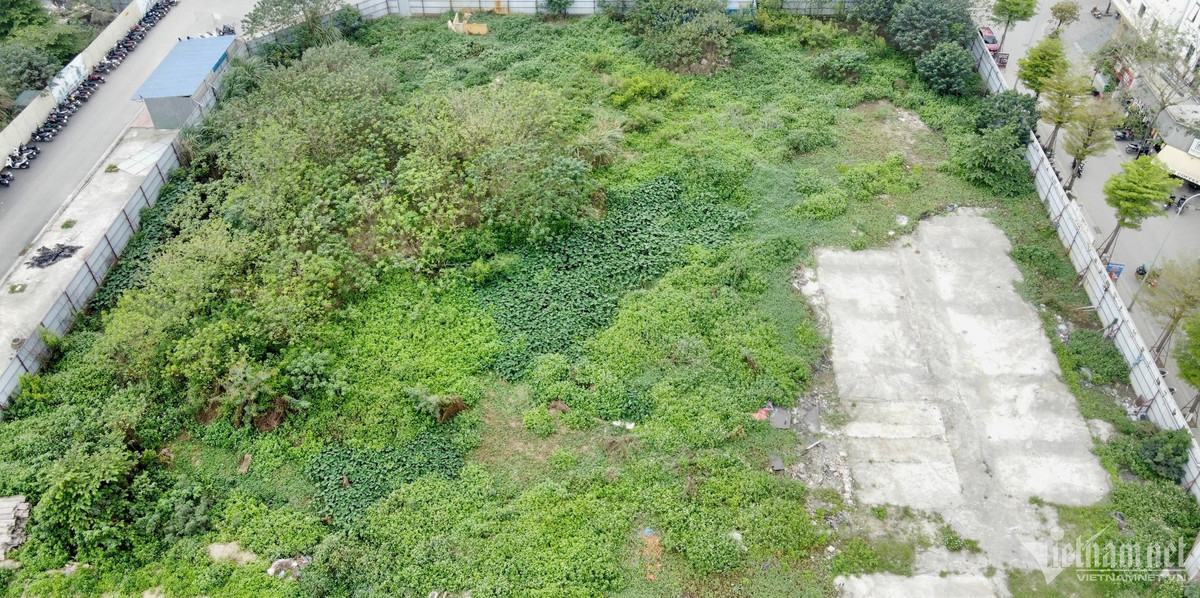 Ha Noi: Du an nha o xa hoi hang nghin m2 dang... ‘nuoi co’-Hinh-8