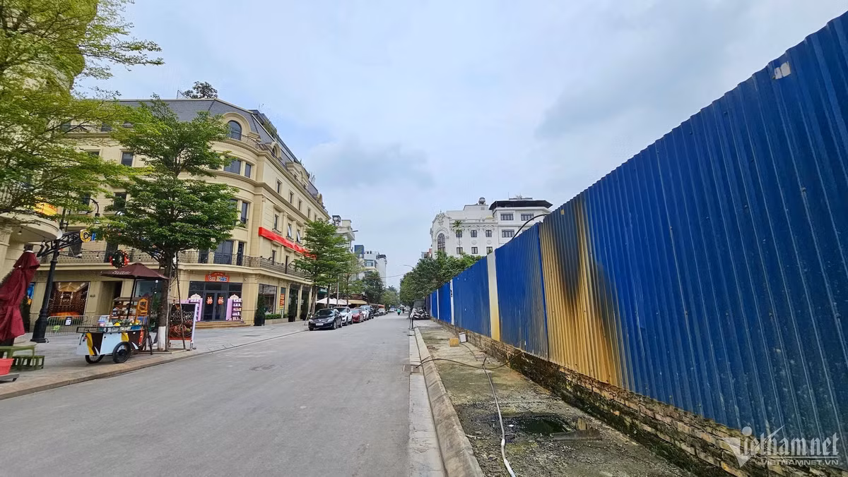 Ha Noi: Du an nha o xa hoi hang nghin m2 dang... ‘nuoi co’-Hinh-9