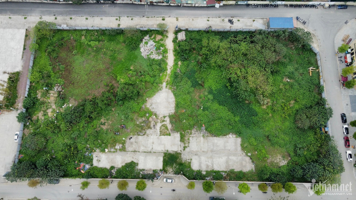 Ha Noi: Du an nha o xa hoi hang nghin m2 dang... ‘nuoi co’-Hinh-6